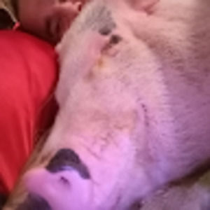 Meet your Posher, Kevin